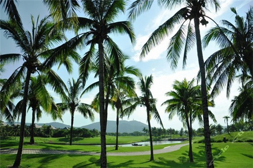 冰城串吧