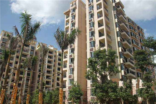 蛋来蛋趣玉子烧料理系列