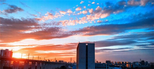 touzi汉堡有没有前景