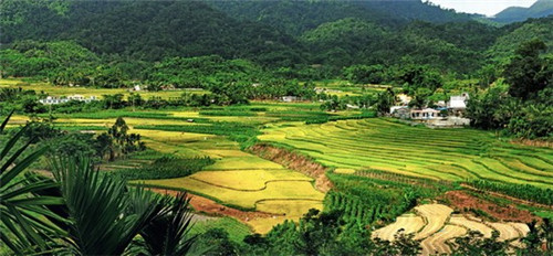 铜陵凤凰山在哪里？好玩吗