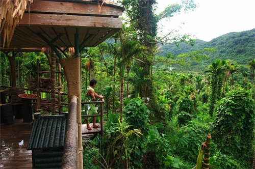 万紫千红生态养生旅游度假区景区内有住宿吗