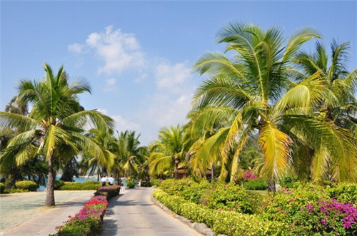 开窗帘店的方案，怎么创业开窗帘店橱窗设计