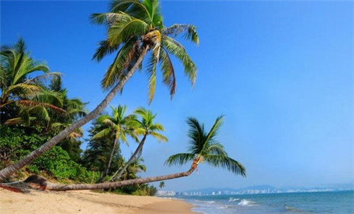 天津和平区醉新房价是多少？