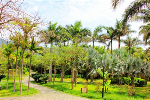 绿岛川珍珠奶茶在临夏县可以加盟吗