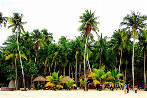 在渠县怎么加盟喜施虾滑粉